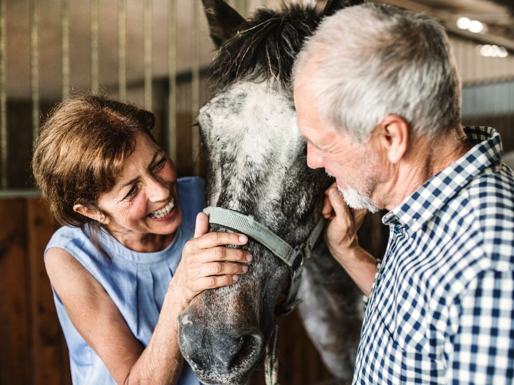 An image of US veterans receiving horse therapy.